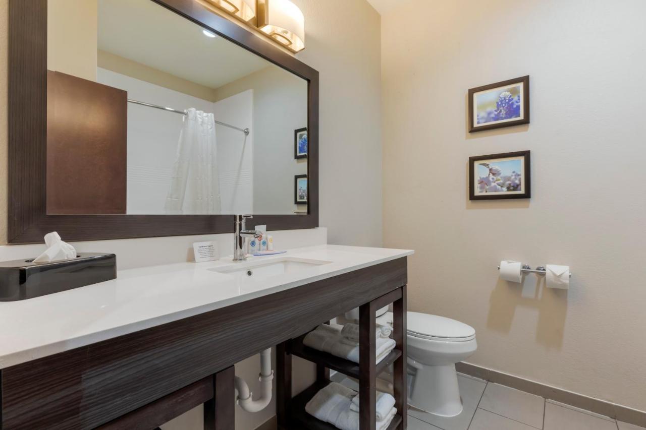 Comfort Inn & Suites Balch Springs - Se Dallas Exteriér fotografie