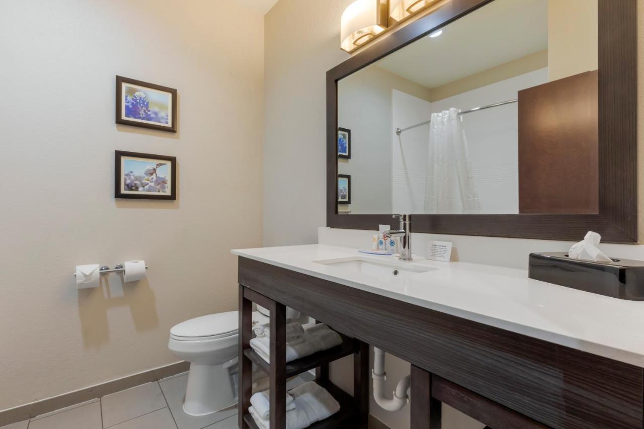 Comfort Inn & Suites Balch Springs - Se Dallas Exteriér fotografie